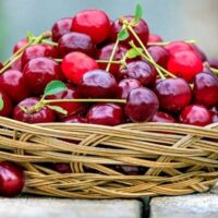 دکتر سیب-دکتر رهاب- اخبار